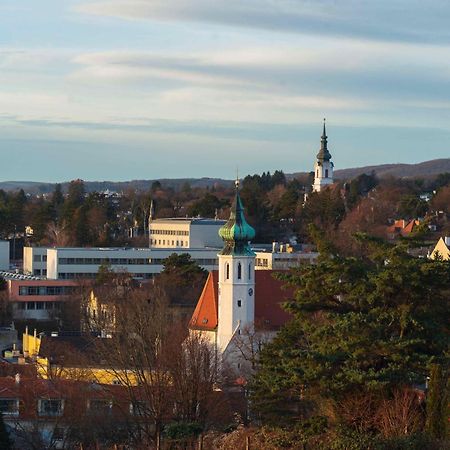 Herrlicher Ausblick Ueber Wien 外观 照片